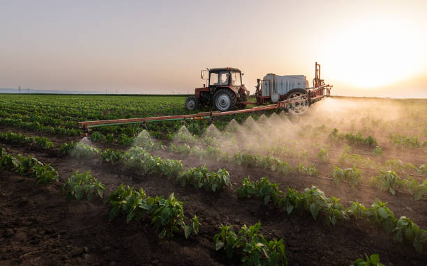 Best Mosquito Control Services  in Vaiden, MS
