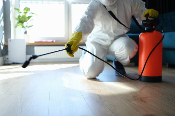 Best Best Pest Control Companies  in Vaiden, MS