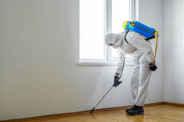 Best Bed Bug Extermination  in Vaiden, MS