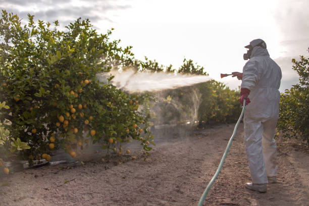 Best Wildlife Control Services  in Vaiden, MS