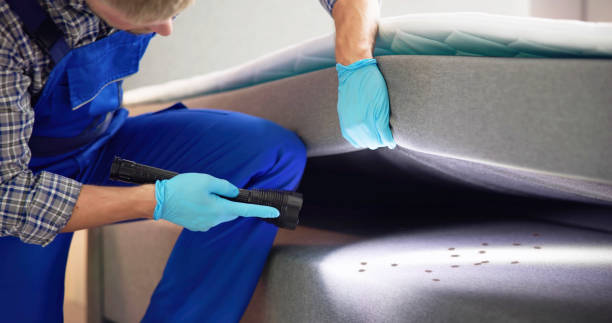 Best Pest Control for Businesses  in Vaiden, MS