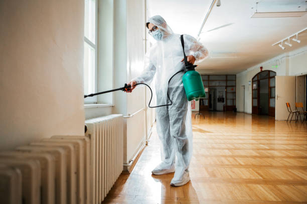 Best Termite Control Services  in Vaiden, MS