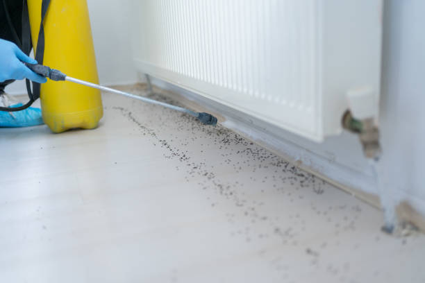 Best Pest Control Near Me  in Vaiden, MS