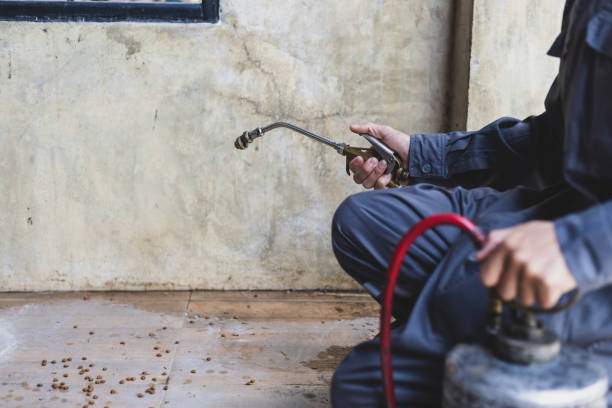 Best Best Pest Control Near Me  in Vaiden, MS